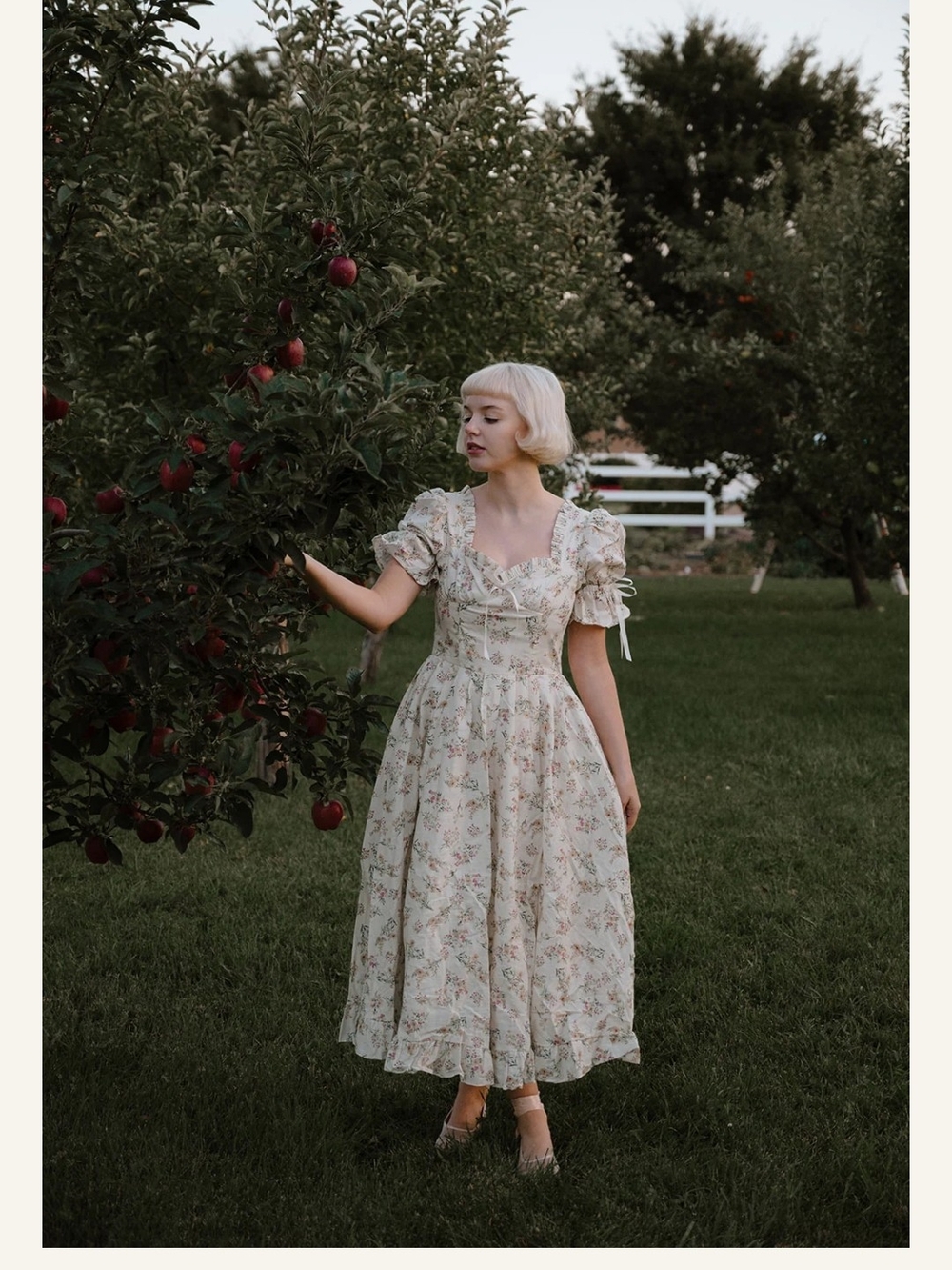 Ava Gowns Amelia Ribbon Floral Dress in Ivory - Picture 3 of 8